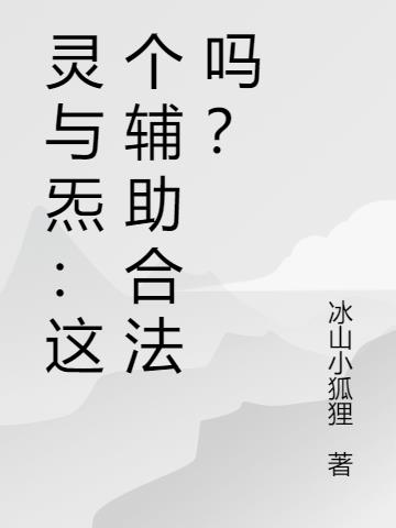 灵与炁：这个辅助合法吗？