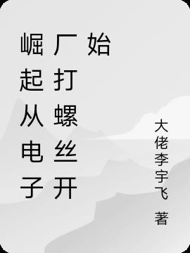 崛起从电子厂打螺丝开始