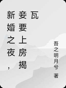 新婚之夜,妾要上房揭瓦