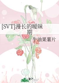 [SVT]漫长的暧昧期