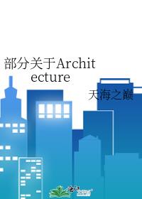 部分关于Architecture