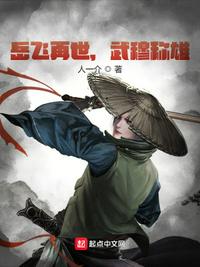 岳飞再世,武穆称雄