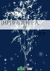 [HP]岁月流转十九年