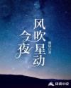 今夜风吹星动