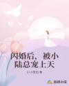 闪婚后,被小陆总宠上天