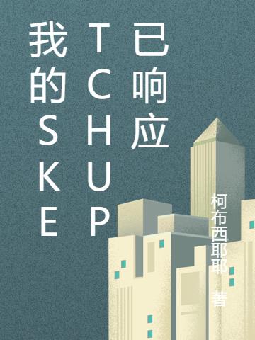 我的SketchUp已响应